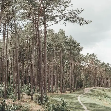 Noyr. Tiny House * Nunspeet