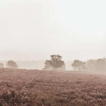 Noyr. Tiny House * Nunspeet