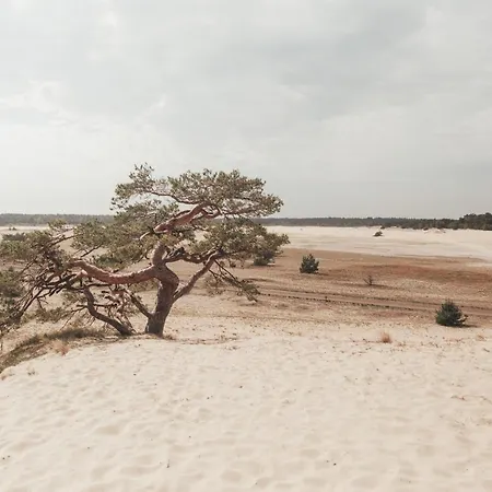 Noyr. Tiny House Hébergement de vacances