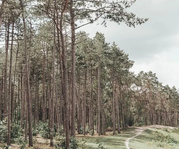 Noyr. Tiny House * Nunspeet