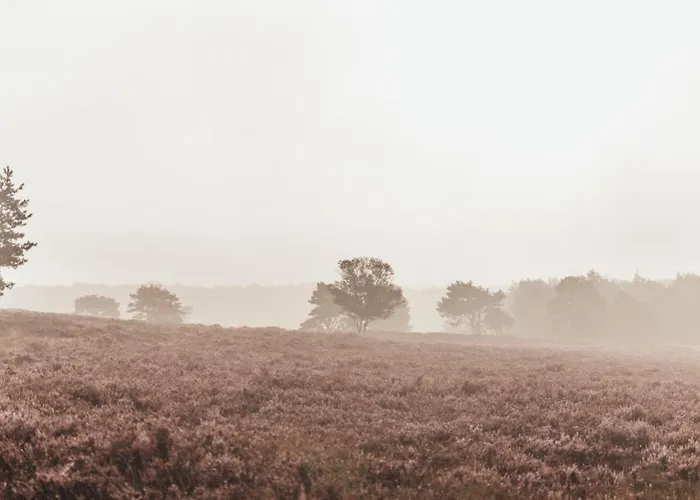 Noyr. Tiny House * Nunspeet