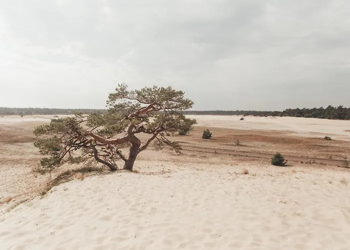 Noyr. Tiny House Hébergement de vacances