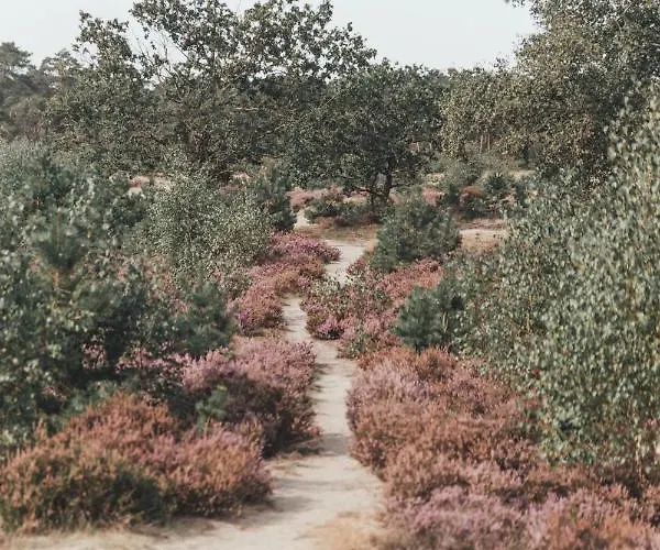 Tatil Evi Noyr. Tiny House