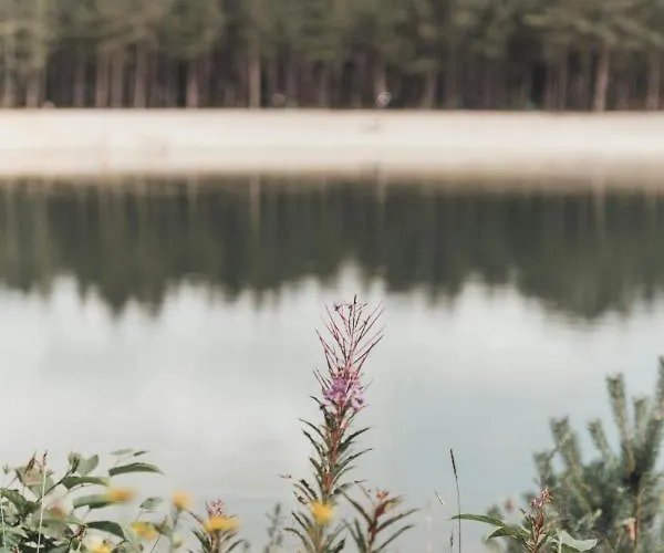 Noyr. Tiny House Tatil Evi Nunspeet